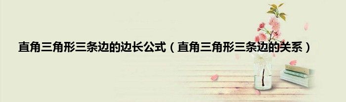 直角三角形三条边的边长公式(直角三角形三条边的关系)