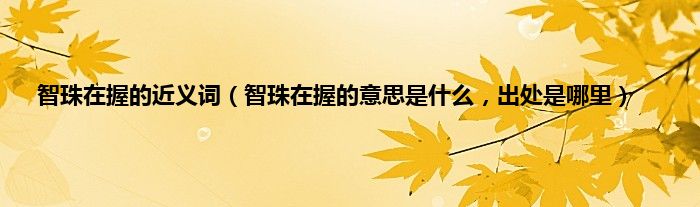 智珠在握的近义词（智珠在握的意思是什么，出处是哪里）