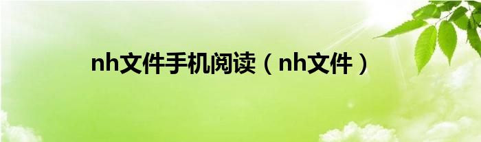 nh文件手机阅读（nh文件）