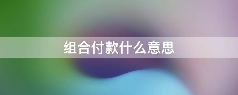 组合付款什么意思