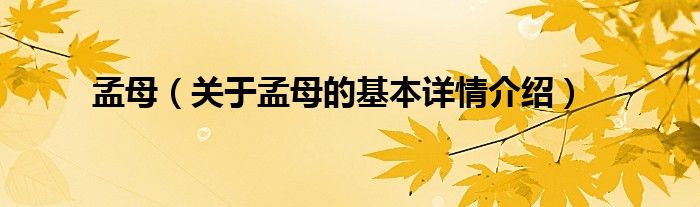 孟母（关于孟母的基本详情介绍）