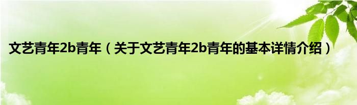 文艺青年2b青年(关于文艺青年2b青年的基本详情介绍)