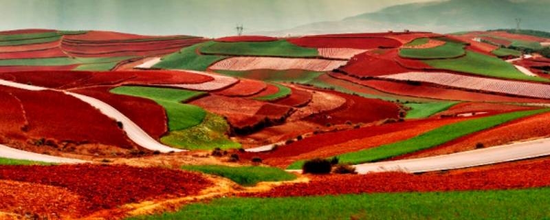 西江流域发育什么色土壤