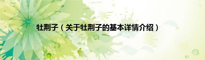 牡荆子（关于牡荆子的基本详情介绍）