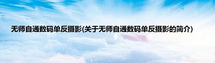 无师自通数码单反摄影(关于无师自通数码单反摄影的简介)