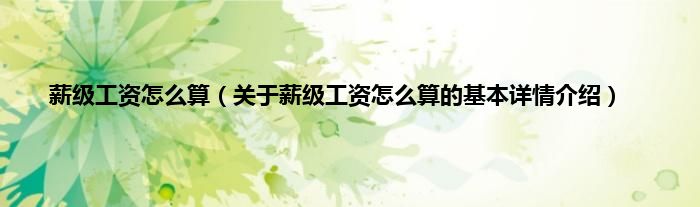 薪级工资怎么算（关于薪级工资怎么算的基本详情介绍）