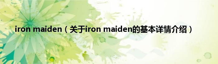 iron maiden(关于iron maiden的基本详情介绍)