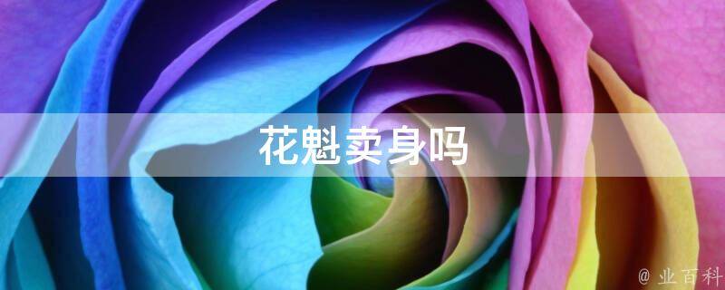 花魁卖身吗