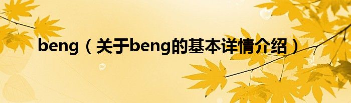 beng(关于beng的基本详情介绍)