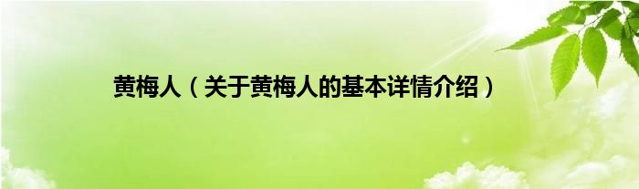 黄梅人（关于黄梅人的基本详情介绍）
