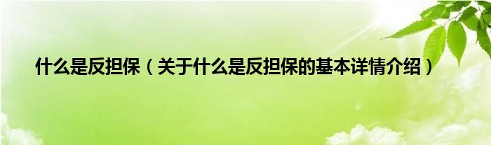 什么是反担保（关于什么是反担保的基本详情介绍）