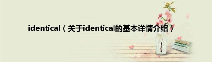 identical（关于identical的基本详情介绍）