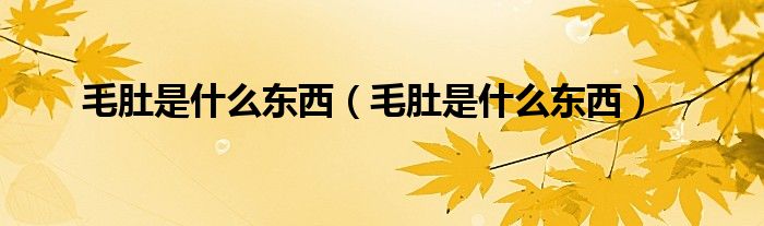 毛肚是什么东西（毛肚是什么东西）