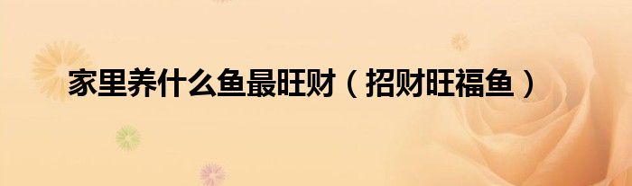 家里养什么鱼最旺财（招财旺福鱼）