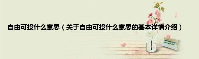 自由可投什么意思(关于自由可投什么意思的基本详情介绍)