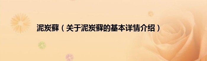 泥炭藓(关于泥炭藓的基本详情介绍)