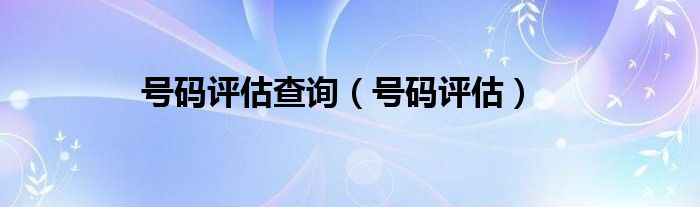 号码评估查询（号码评估）