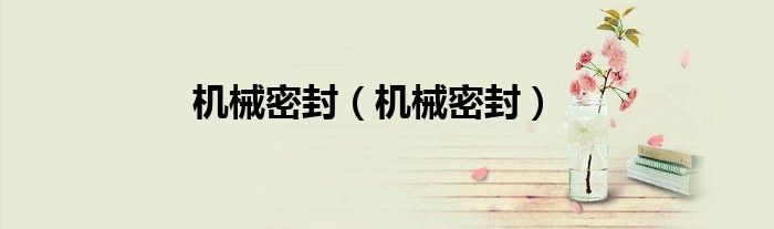 机械密封（机械密封）