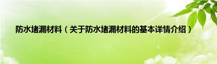 防水堵漏材料（关于防水堵漏材料的基本详情介绍）