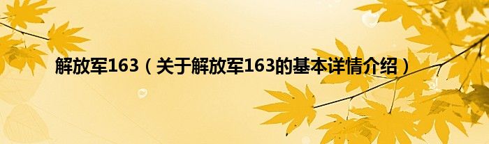解放军163(关于解放军163的基本详情介绍)