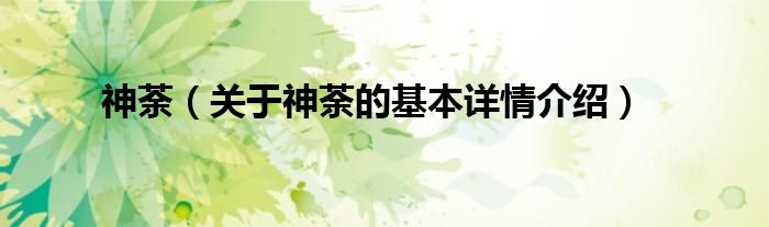 神荼（关于神荼的基本详情介绍）