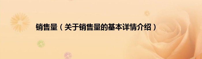 销售量（关于销售量的基本详情介绍）