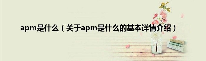 apm是什么（关于apm是什么的基本详情介绍）