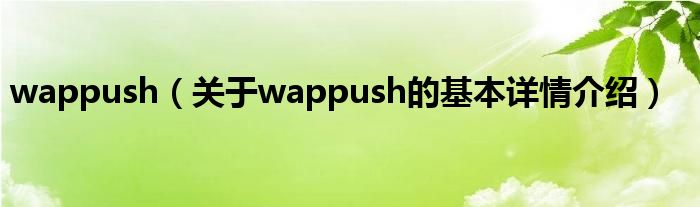 wappush（关于wappush的基本详情介绍）