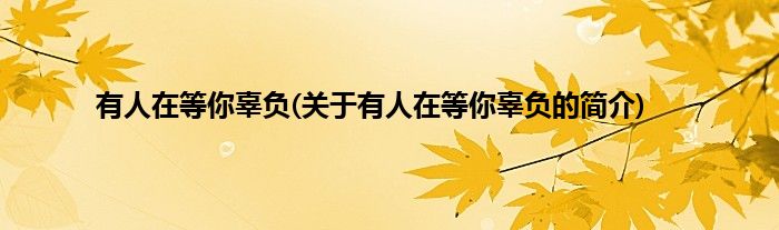 有人在等你辜负(关于有人在等你辜负的简介)