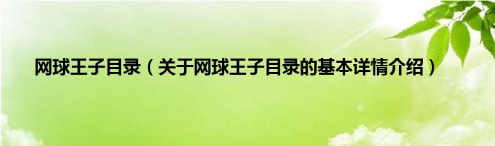 网球王子目录（关于网球王子目录的基本详情介绍）