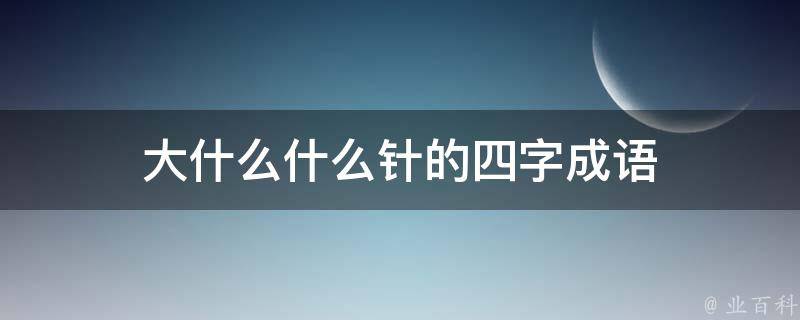 大什么什么针的四字成语