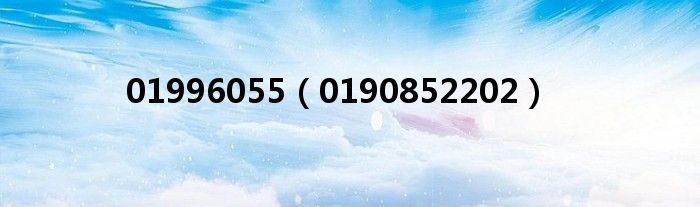 01996055（0190852202）