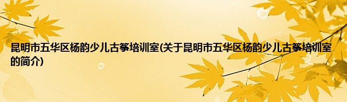 昆明市五华区杨韵少儿古筝培训室(关于昆明市五华区杨韵少儿古筝培训室的简介)