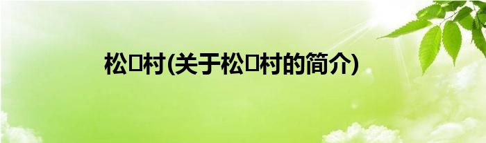 松村(关于松村的简介)