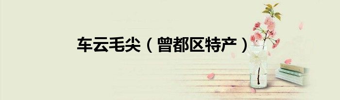 车云毛尖(曾都区特产)