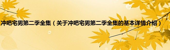 冲吧宅男第二季全集（关于冲吧宅男第二季全集的基本详情介绍）