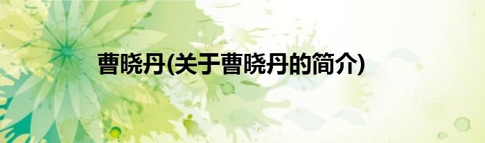 曹晓丹(关于曹晓丹的简介)