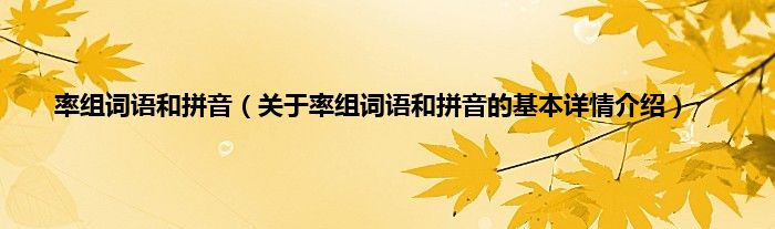 率组词语和拼音（关于率组词语和拼音的基本详情介绍）