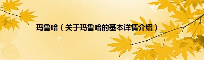 玛鲁哈（关于玛鲁哈的基本详情介绍）