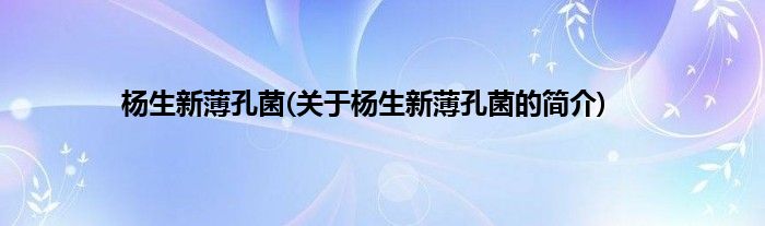 杨生新薄孔菌(关于杨生新薄孔菌的简介)