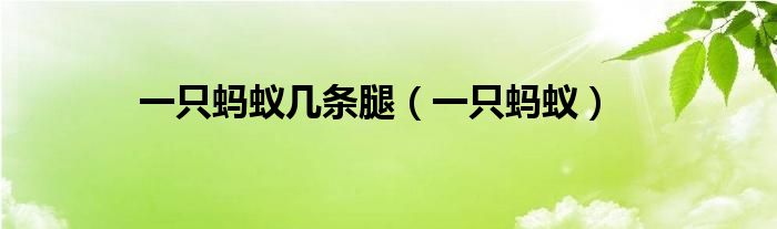 一只蚂蚁几条腿（一只蚂蚁）