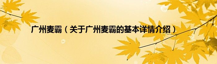 广州麦霸（关于广州麦霸的基本详情介绍）