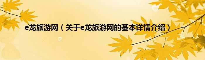 e龙旅游网（关于e龙旅游网的基本详情介绍）
