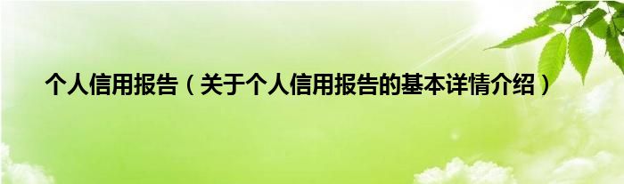 个人信用报告（关于个人信用报告的基本详情介绍）
