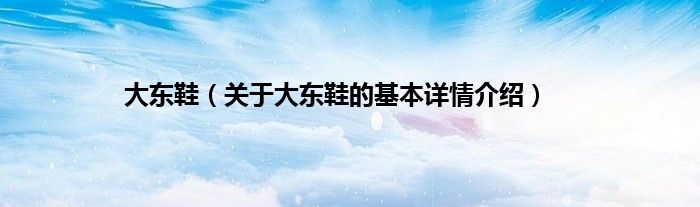 大东鞋（关于大东鞋的基本详情介绍）