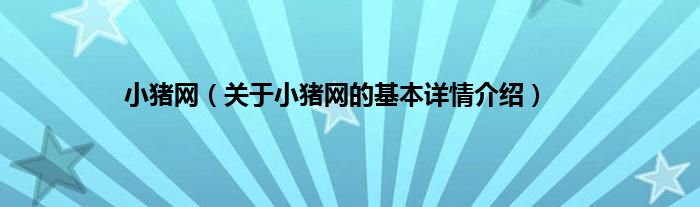 小猪网（关于小猪网的基本详情介绍）