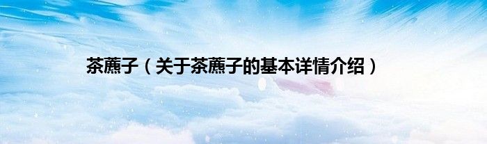 茶藨子（关于茶藨子的基本详情介绍）