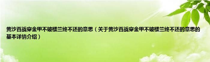 黄沙百战穿金甲不破楼兰终不还的意思（关于黄沙百战穿金甲不破楼兰终不还的意思的基本详情介绍）