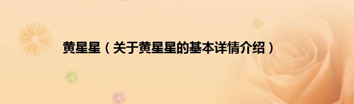 黄星星（关于黄星星的基本详情介绍）