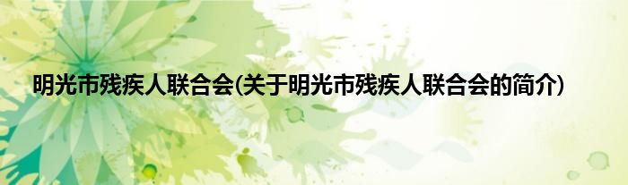 明光市残疾人联合会(关于明光市残疾人联合会的简介)